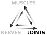 Saratoga Springs Wilton NY Chiropractor Joints Saratoga Springs Wilton NY Chiropractor Joints