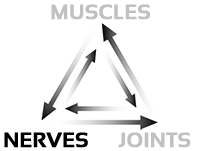 Wilton Saratoga Springs NY Chiropractor Nerves Wilton Saratoga Springs NY Chiropractor Nerves